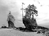 Raue Küstenlandschaft am West Coast Trail auf Vancouver Island